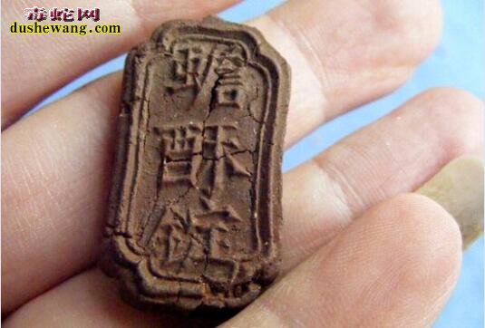 养蟾蜍赚钱吗?