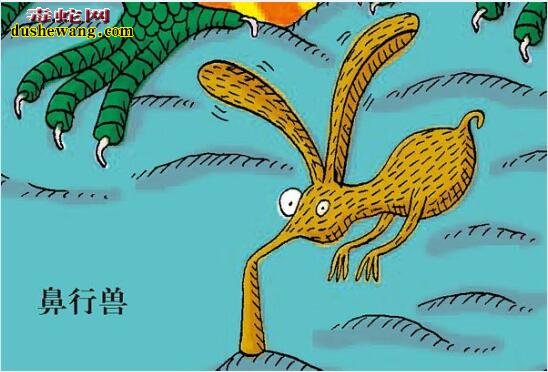 鼻行动物图片