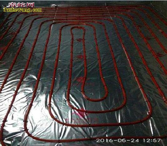养蛇地暖 无冬眠养蛇加温究竟用什么地暖好?