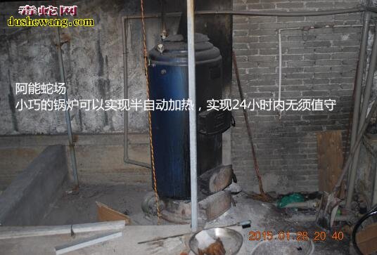 养蛇如何?养蛇能赚到钱吗?