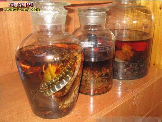 浸蛇酒加中药灵芝可壮阳吗?