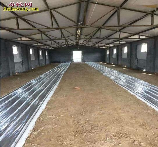 怎样建养蛇场?
