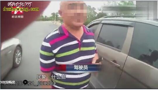 男子小车后备箱藏200条银环蛇 交警拦下当场放生!