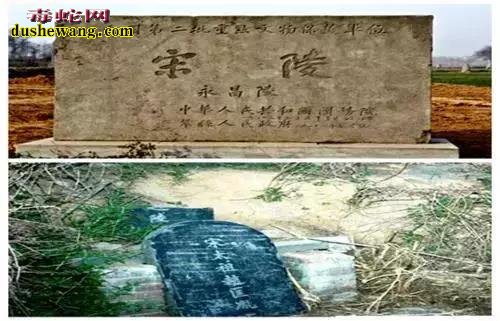 葬了七个皇帝的宋陵竟无人看守 原因让人悲哀!