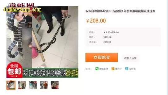 网上购买蛇酒可直播活蛇泡酒全过程 不少网友咋舌!