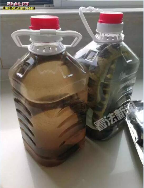 网上购买蛇酒可直播活蛇泡酒全过程 不少网友咋舌!