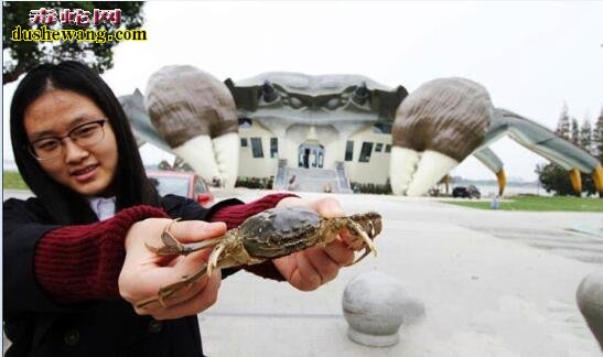 “大闸蟹房子”:苏州现巨型大闸蟹建筑 看到不敢进去住