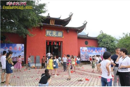 养蛇有什么迷信吗?