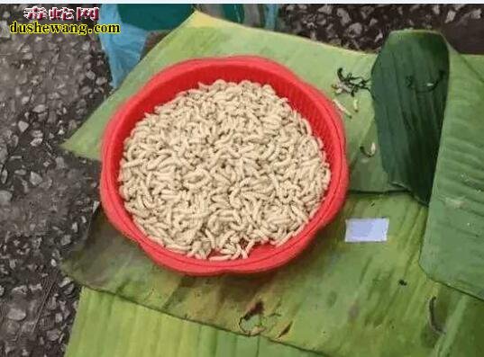 都说广东人啥都敢吃?看看中缅边境菜市场“大补”