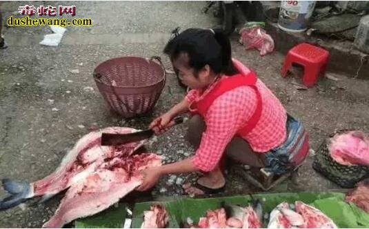 都说广东人啥都敢吃？看看中缅边境菜市场“大补”