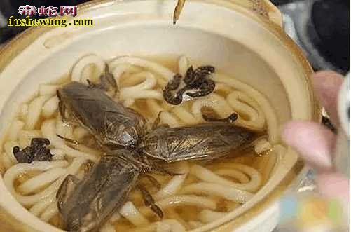 都说广东人啥都敢吃?看看中缅边境菜市场“大补”
