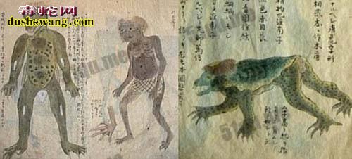 关于水猴子水鬼奇闻故事 水猴子水鬼图片欣赏