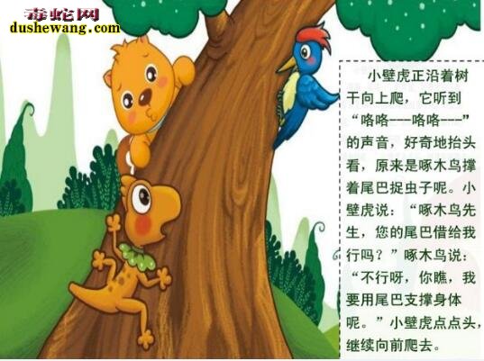 小壁虎借尾巴的故事