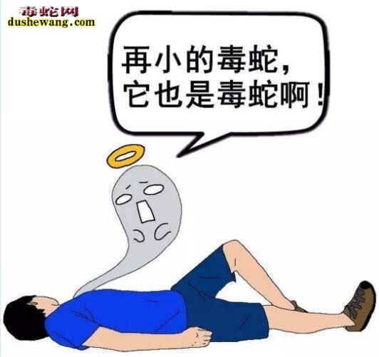 治疗毒蛇咬伤的方法有哪些