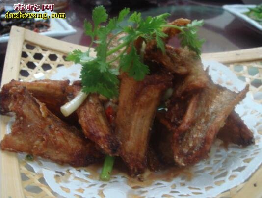 吃蛇肉会报应吗?
