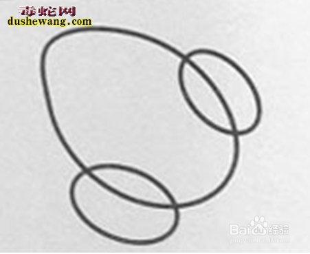 青蛙怎么画