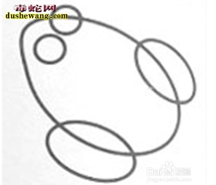 青蛙怎么画
