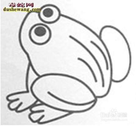 青蛙怎么画