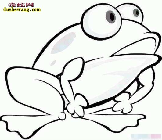 各种姿态青蛙简笔画图片大全4