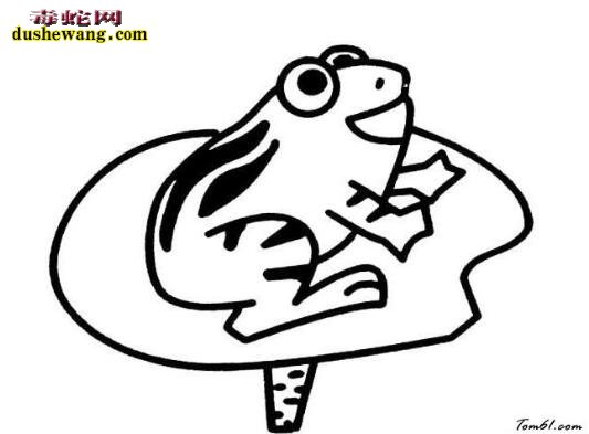 各种姿态青蛙简笔画图片大全5
