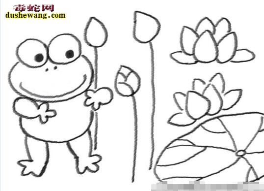 各种姿态青蛙简笔画图片大全