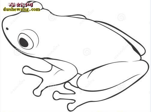 各种姿态青蛙简笔画图片大全7
