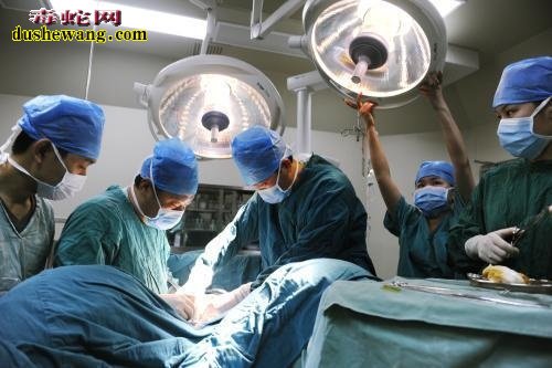 40岁男子长期食用冬虫夏草治疗肺癌