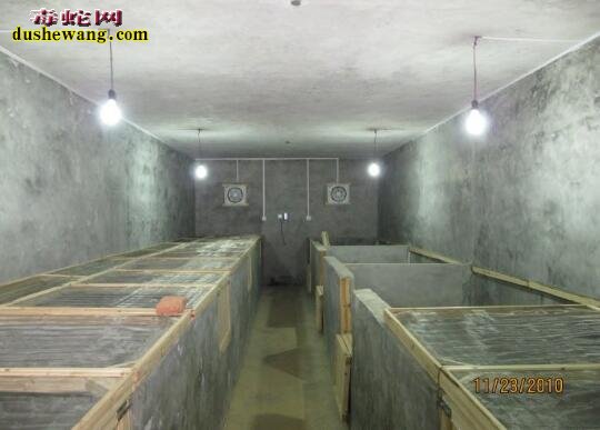 养蛇房建造方法?什么蛇房最适合养蛇?