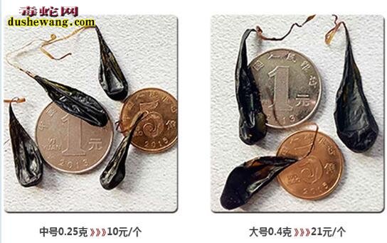 蛇胆有毒吗?