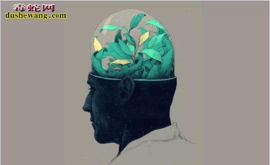 被闪电劈中后,他变成了天才!是偶然还是有规律可循?