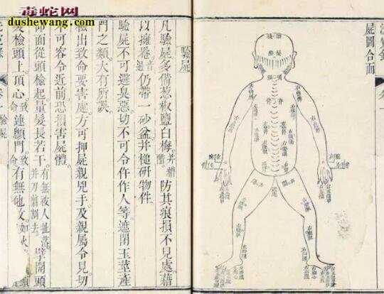 拆骨蒸尸是怎么回事？古代仵作验尸的十大秘籍分享！