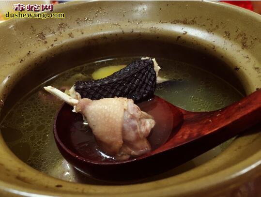 乌梢蛇鸽子汤功效与作用？乌梢蛇鸽子汤怎么做好吃？