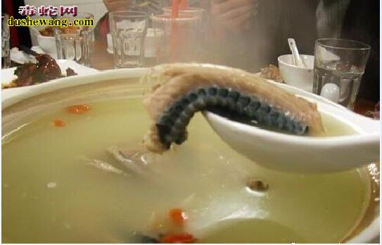 乌梢蛇鸽子汤功效与作用？乌梢蛇鸽子汤怎么做好吃？