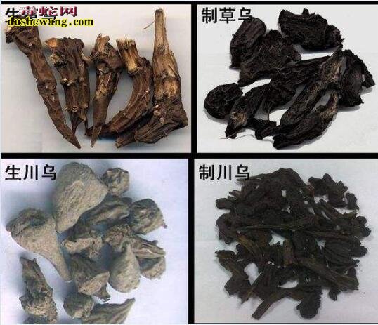 这回不是毒蛇泡酒!3人聚餐饮“祖传秘方”药酒致一人死亡!