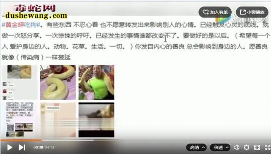 太残忍!黄金蟒吞食小狗视频曝光!