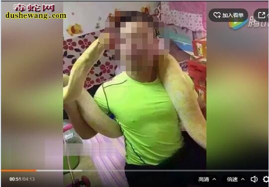 太残忍!黄金蟒吞食小狗视频曝光!