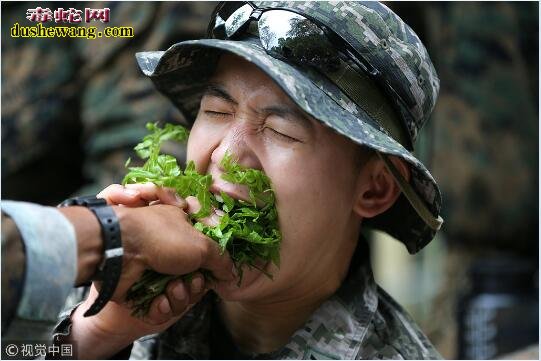 美国海军陆战队员徒手抓眼镜蛇生吃壁虎！