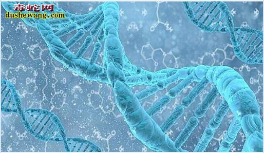 颠覆您对宇宙的认识:宇宙就像一条蛇,头部是宇宙,尾巴是粒子!