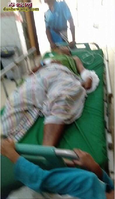 印尼7米巨蟒拦路被打死!最开心的是村民可以吃蛇肉了!