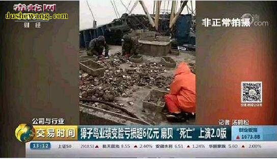 央视深入獐子岛 蛇友关注岛上蛇类环境!