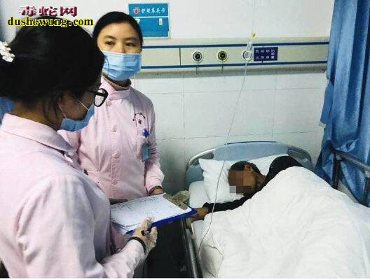 春季毒蛇出蛰 湖南农民抓蛇遇眼镜蛇咬伤先丧命!