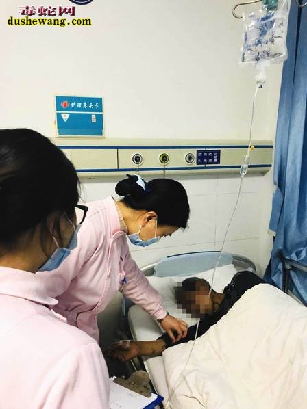 春季毒蛇出蛰 湖南农民抓蛇遇眼镜蛇咬伤先丧命!