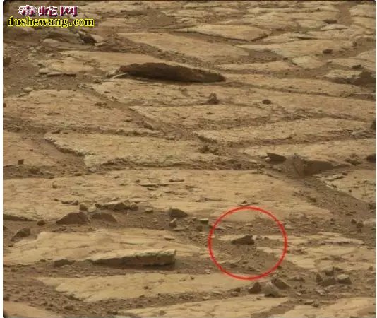 火星上再次发现新物体 移居火星可以成为现实!