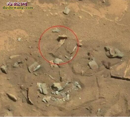 火星上再次发现新物体 移居火星可以成为现实!