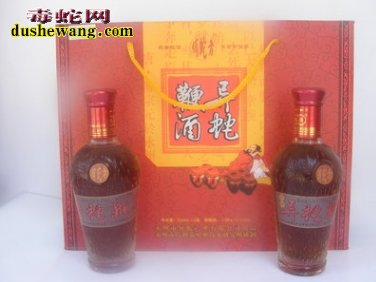 蛇鞭酒价格