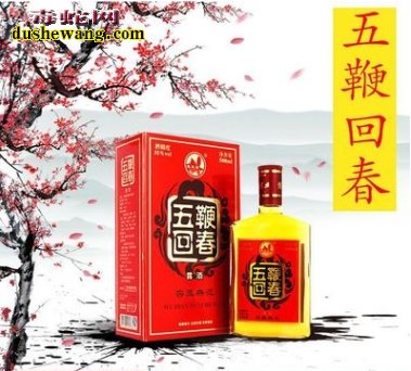 蛇鞭酒价格