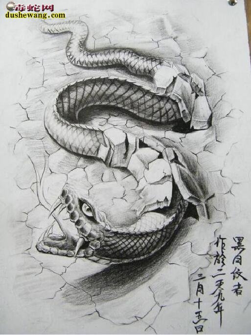 蛇的素描图片
