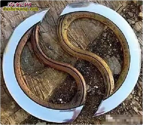 冷兵器:全球博物馆里那些罕见的诡异冷兵器大聚会!