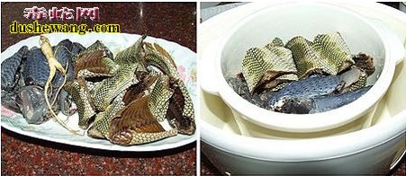 海蛇吃法:海蛇怎么做好吃功效好?
