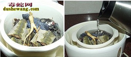 海蛇吃法:海蛇怎么做好吃功效好?